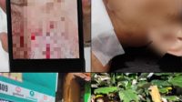 IMG-20260806-WA0086